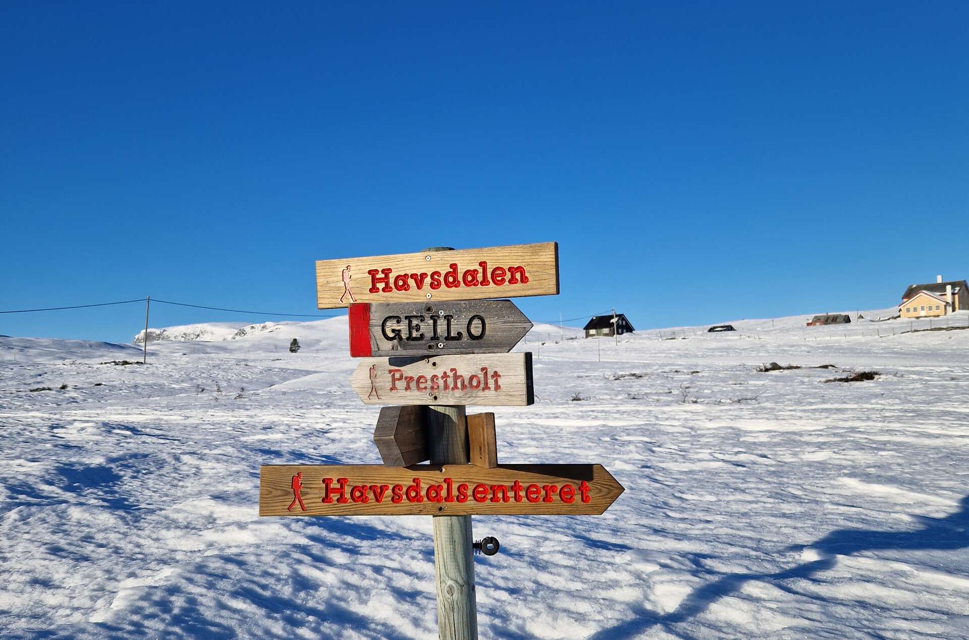 Photo of wooden signs in a snow-clad landscape