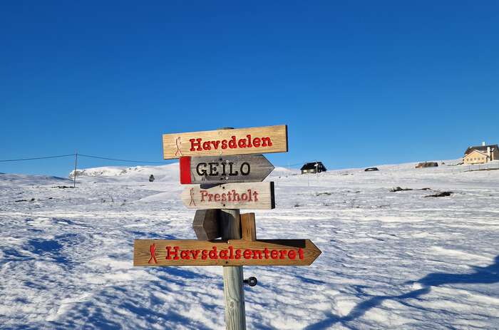 Photo of wooden signs in a snow-clad landscape