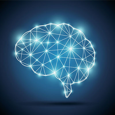 illustration of a brain