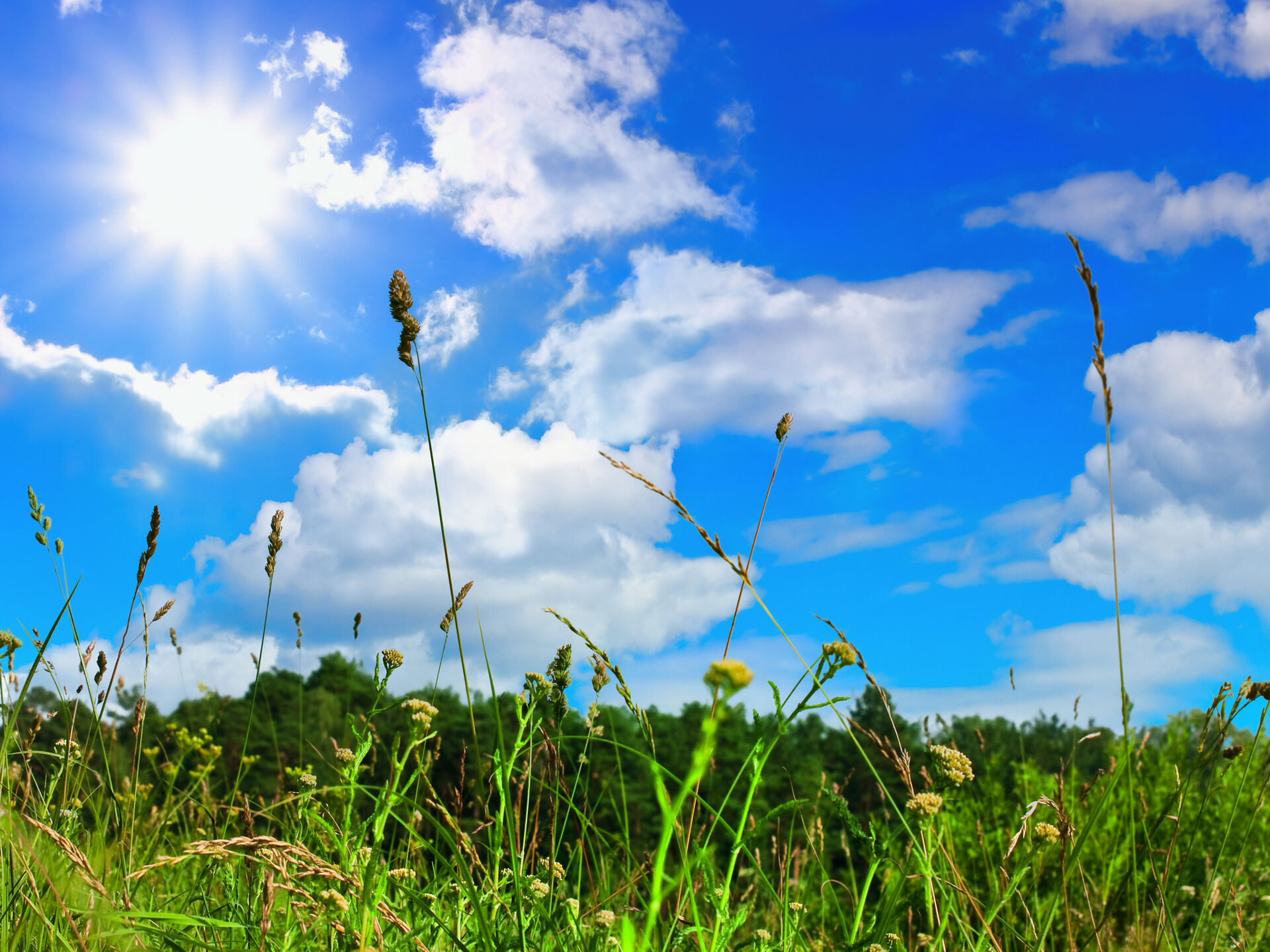 Sommer