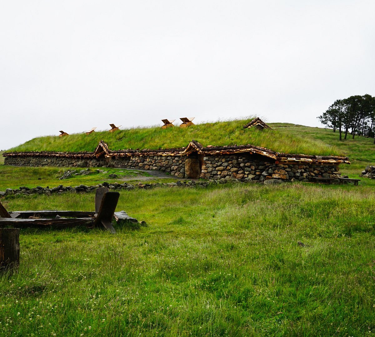 Old building almost covered in grass